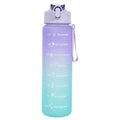 750ML Gradient Drinking Bottle - Leak-Proof, Travel Straw Jug
